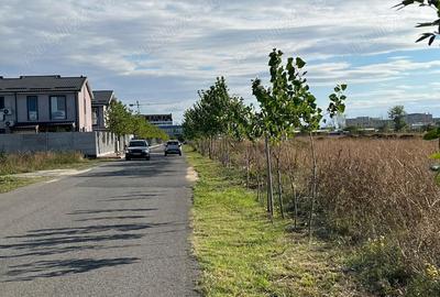 Titan -Policolor-drum gura Saratii Drum gura Calmatui, intravilan ,7290 mp - 7