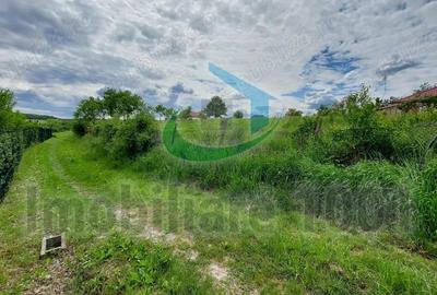 Teren de 2732 mp, în Șomcuta Mare - 3