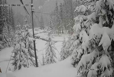 Teren de 3000 mp, în Exterior Vest - 2