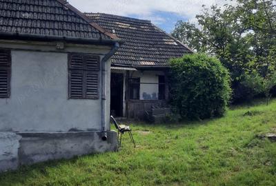 Casă cu 2 camere cu Teren 1600 Mp în Frunzeni - 9