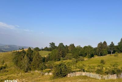 Teren de 13000 mp, în Talea - 7