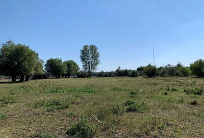 Spațiu comercial, în Nufăru - 5