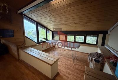 COMISION 0%. Casa individuala in centrul Dumbravitei. Oportunitate imobiliara - 13