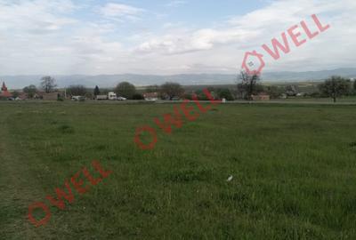 Teren intravilan de vânzare în Moacșa (Eresteghin)! - 2