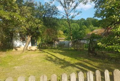 Casă cu 2 camere cu Teren 1200 Mp în Bughea de Jos - 5