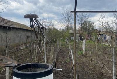 Casă cu 4 camere cu Teren 240 Mp în Albești-Paleologu - 5