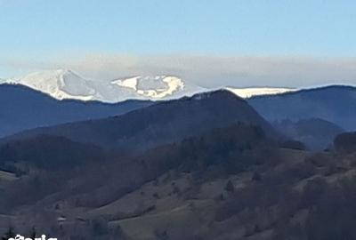 Teren de 1200 mp, în Dâmbovicioara - 2