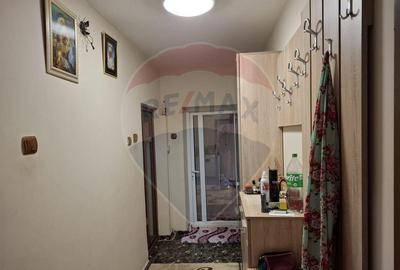 Casa / Vila cu 6 camere de vanzare in zona Calea Seve... - 17