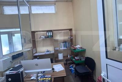 Birou, de 480 mp, în Brazda lui Novac - 9