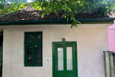 Spațiu comercial, de 25 mp, în Pârneava