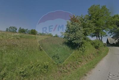 Teren 3,110mp Manastireni, situat in zona DJ 103L Teren 3,110mp Manastireni, situat in zona DJ 103L - 2