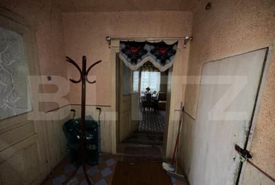 Teren 3000 mp + 2 case de vanzare-Ca?eiu - 26