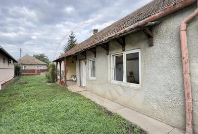Casă individuală cu 3 camere cu Teren 3263 Mp în Carei - 18