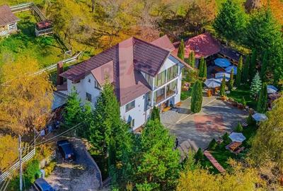 Casă cu 10 camere cu Teren 7600 Mp în Rucăr - 16