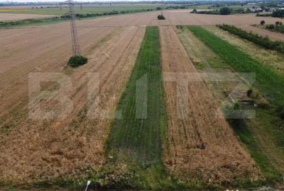 Teren de 1650 mp, în Răzvad - 1