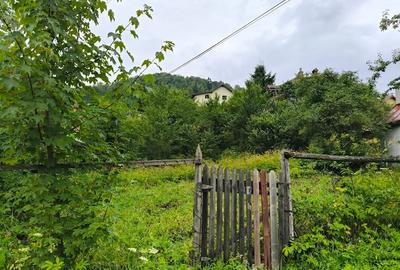 Teren intravilan de vanzare in Azuga - 3