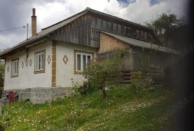 Casă cu 4 camere cu Teren 2400 Mp în Bilbor - 5