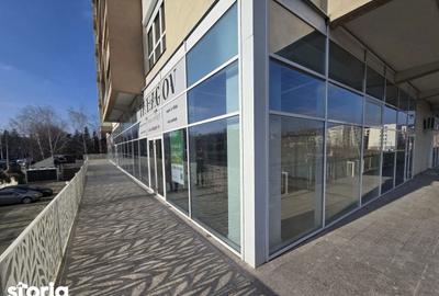 Spațiu comercial, de 100 mp, în Bucium - 12