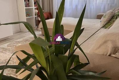 Apartament 4 camere de inchiriat Lacul Tei, Sector 2-Marian - 6