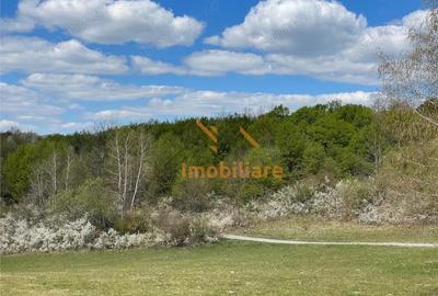 Teren de 103000 mp, în Bălnaca - 2