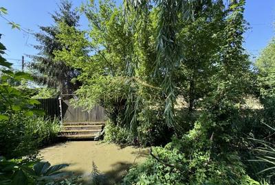 Vila cu 13 camere *4000mp teren* / Piscina / Snagov - 56