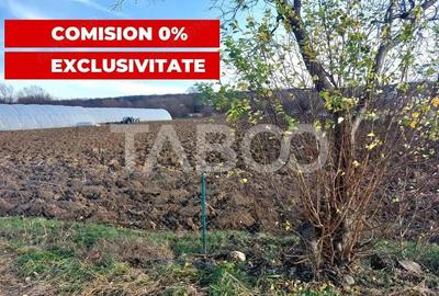 Teren intravilan 1687 mp pentru cabana zona de gradini Cisnadie - 5