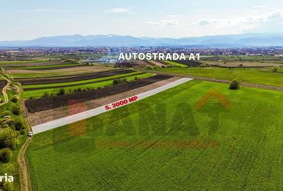Spațiu comercial, în Gușterița - 3