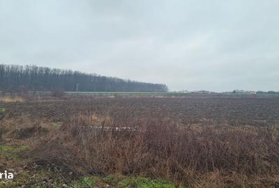 Spațiu comercial, în Corbeanca - 10