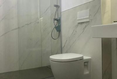 Chirie zona Mall-Lipovei - 6
