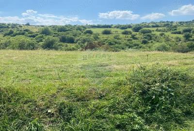 Teren de vanzare 8,700 mp Tarlungeni, comision 0 cumparator - 8