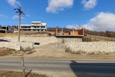 Teren de 700 mp, în Eșelnița - 7