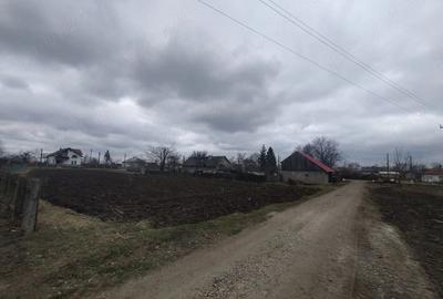 Casă cu Teren 3976 Mp în Dumbrăvița - 9