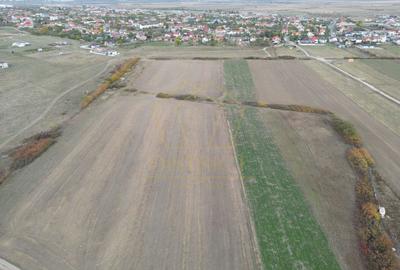 Teren Construcții intravilan de 11600 mp, în Remetea Mare - 3