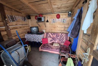 Casă cu 3 camere cu Teren 400 Mp în Moara Vlăsiei - 6