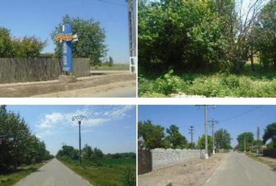 Casă cu 3 camere cu Teren 2877 Mp în Mihai Bravu