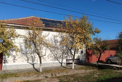 Casă cu 4 camere cu Teren 3000 Mp în Cermei - 8