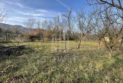 Teren intravilan 1.915 mp + cabană din lemn | Tocile – Sadu - 7