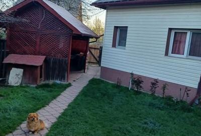 Casă cu 3 camere cu Teren 1200 Mp în Stâlpeni - 7