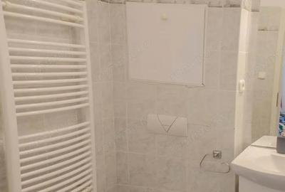 Garsonieră în Buziașului