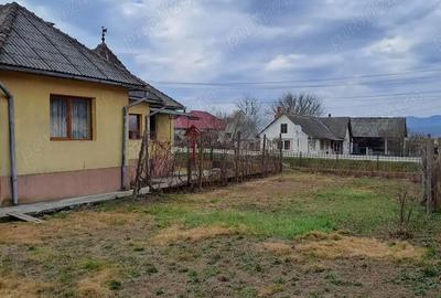 Casă cu 3 camere cu Teren 1450 Mp în Sânmărghita - 6