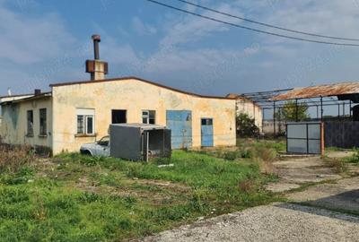 Spațiu comercial, de 1,200 mp, în Carani - 2