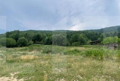 Spațiu comercial, de 994 mp, în Ghelința - 12