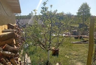 Casă cu Teren 165 Mp în Văleni - 3