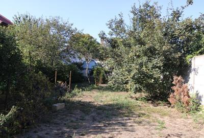 Casa in zona Cosbuc (str Dorobanti) - 10