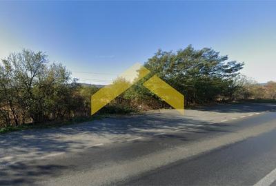 Teren 4000 mp intravilan de vanzare localitatea Barzava - 3
