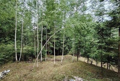 Casa de vacanta nefinalizata (Gheorgheni, zona Magasbukk, km 5) - 20