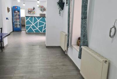 Casă cu 3 camere decomandat în Săbed - 8