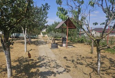 Casă individuală cu 2 camere cu Canalizare în Mihail Kogălniceanu - 11