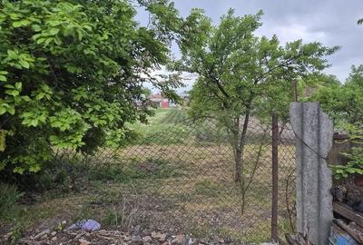 Casă cu 5 camere cu Teren 1870 Mp în Lenauheim - 3