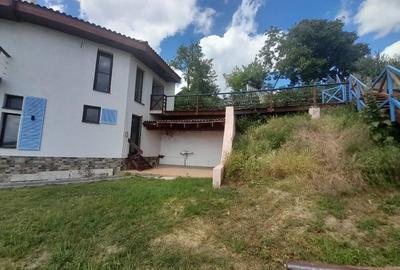 Casa de vacanta superba cu vedere la Dunare - Topalu, Constanta - 7